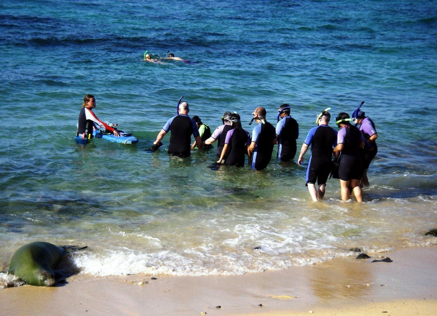 Shore Excursions - Adventure With Carnival Cruise Line!